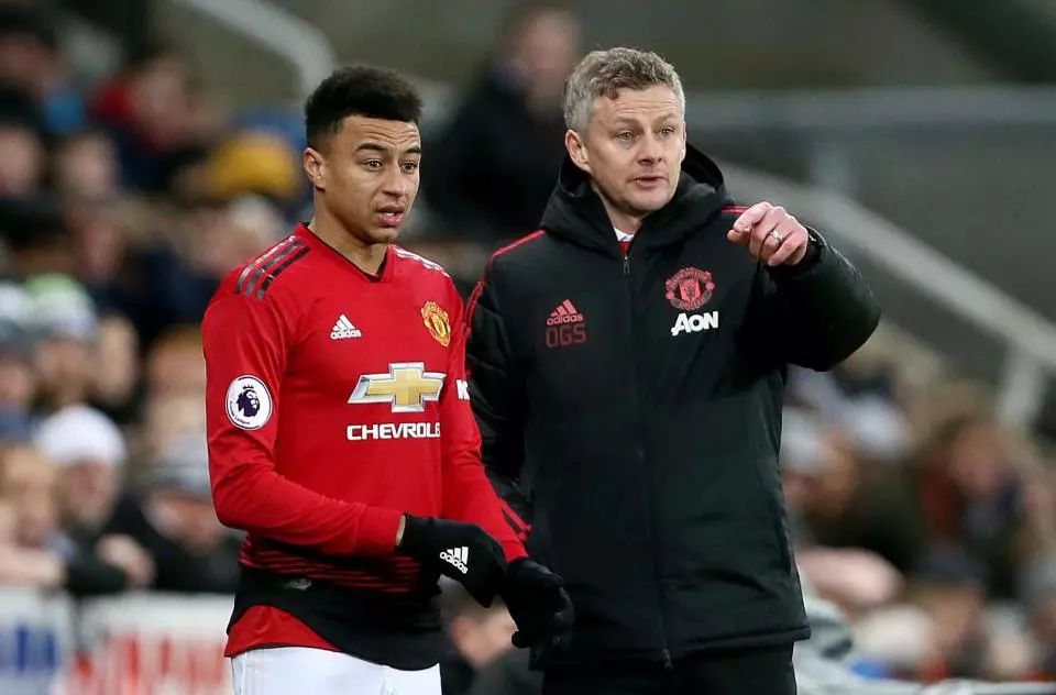 质量的训练 质量的训练